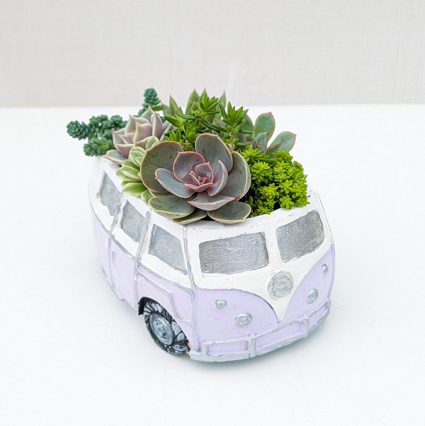 VW Succulent Bus