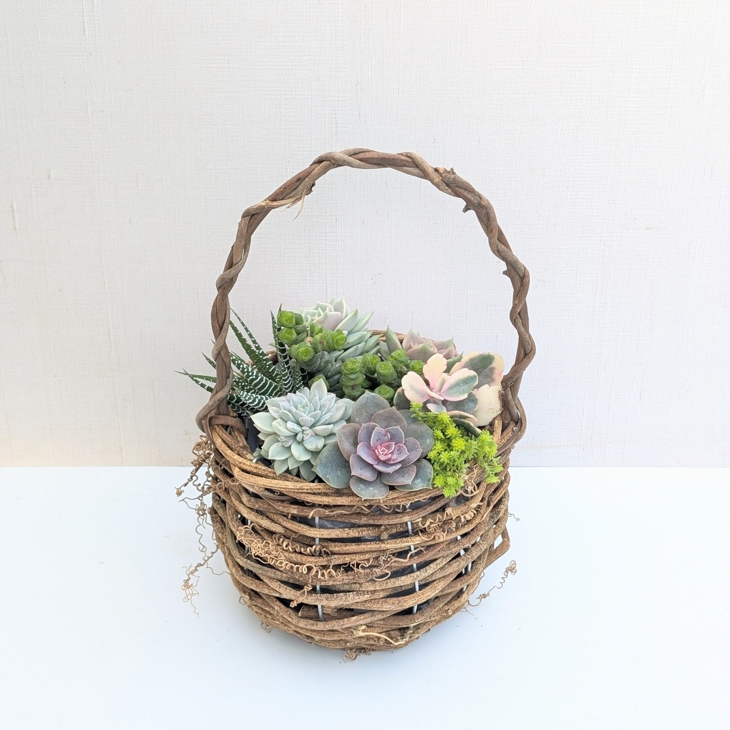 Succulent Basket