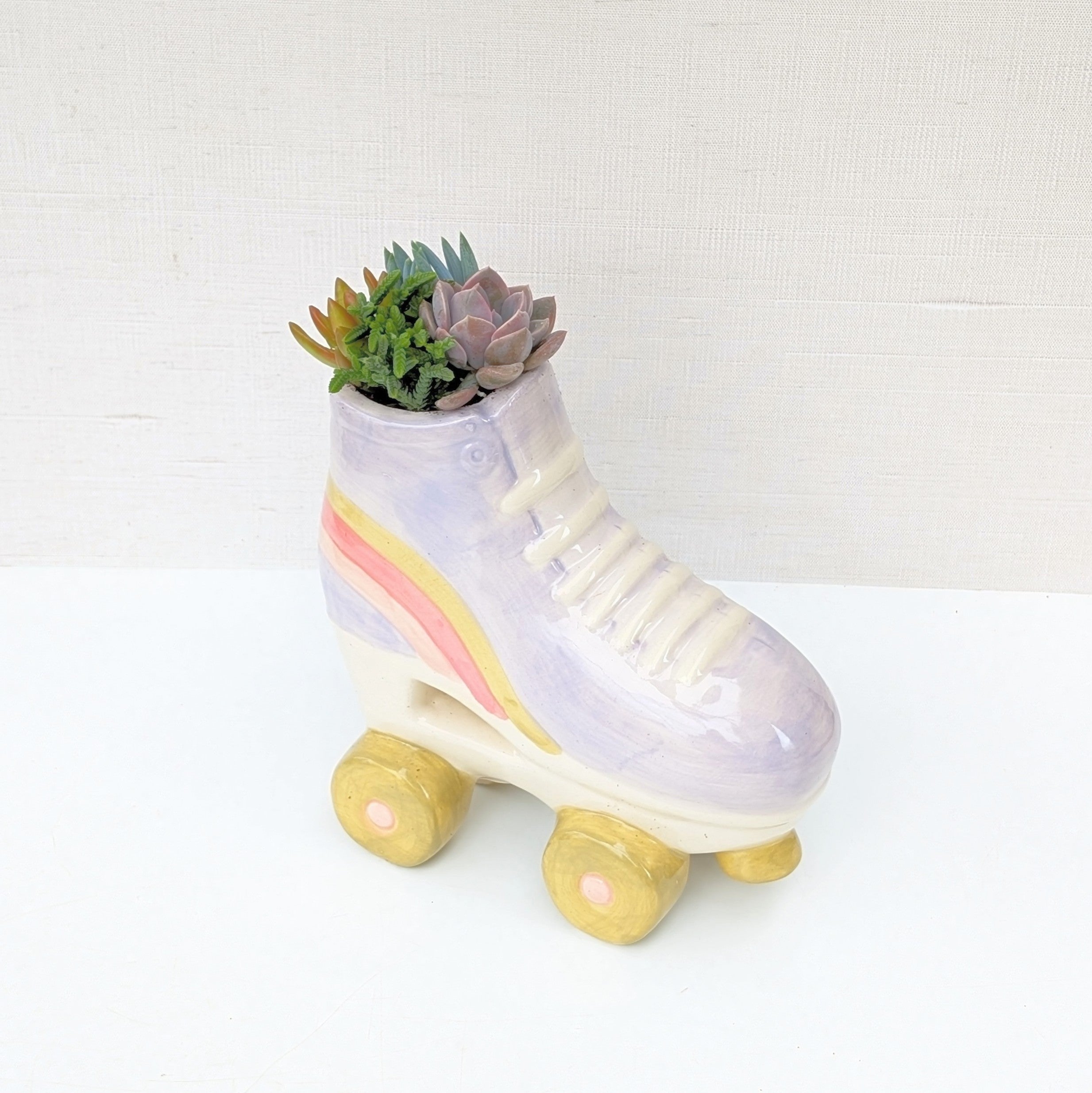 roller skate plant pot Succulent Rollerskate – CANADIAN SUCCULENTS