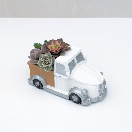 Succulent Flower Truck