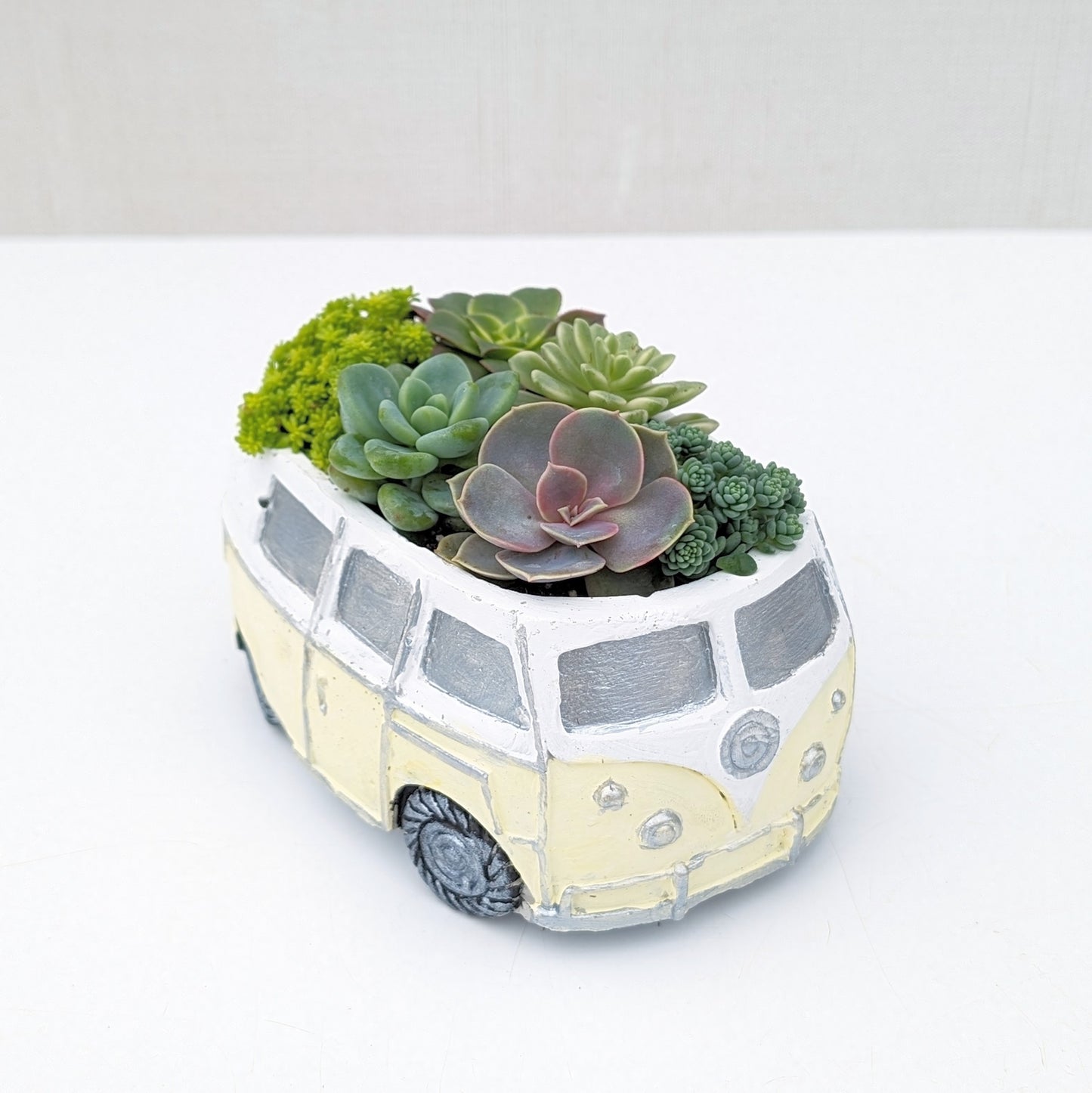 VW Succulent Bus