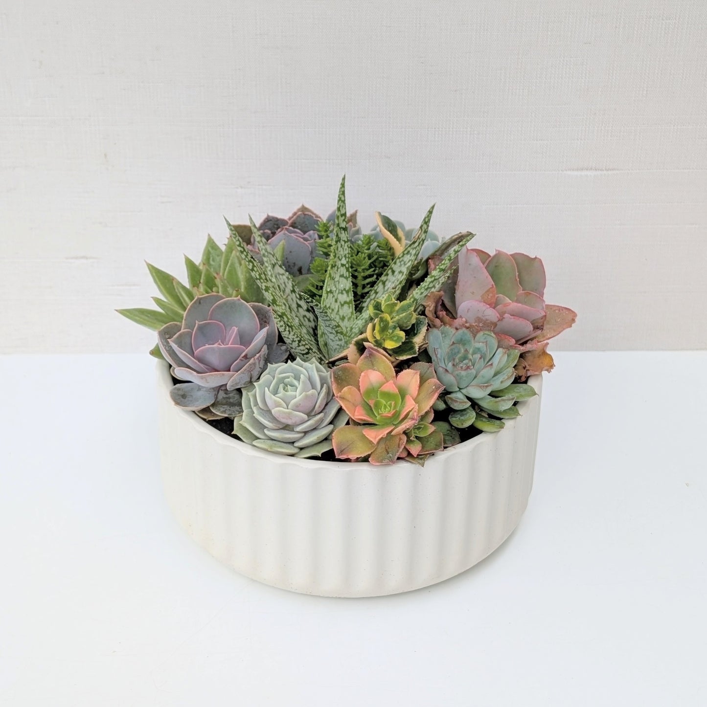 Beam Bowl