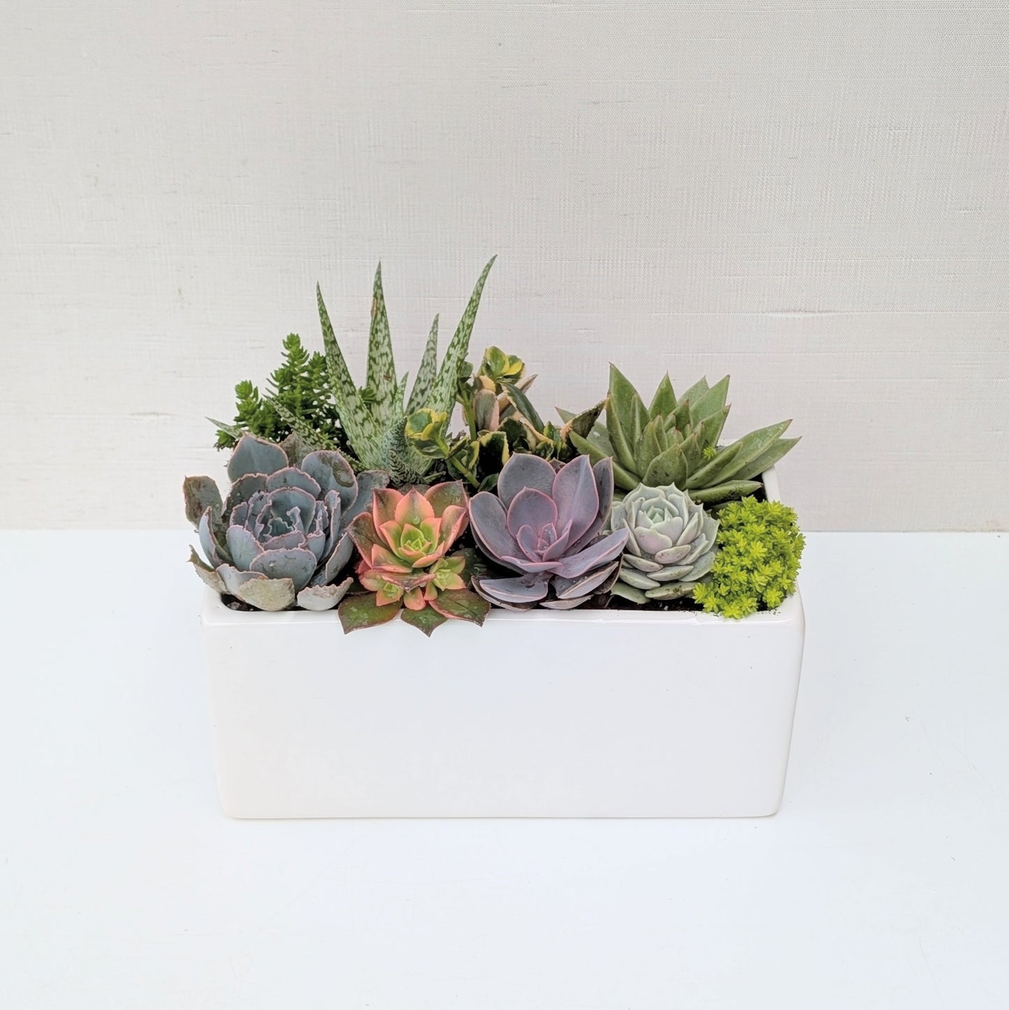 Large White Wonder Planter