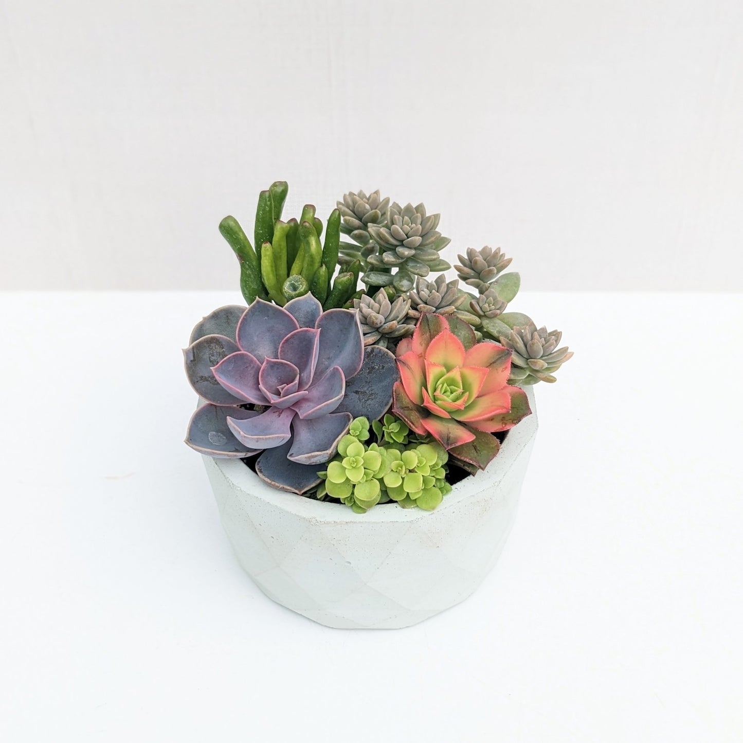 Mint Geometric Succulent Bowl