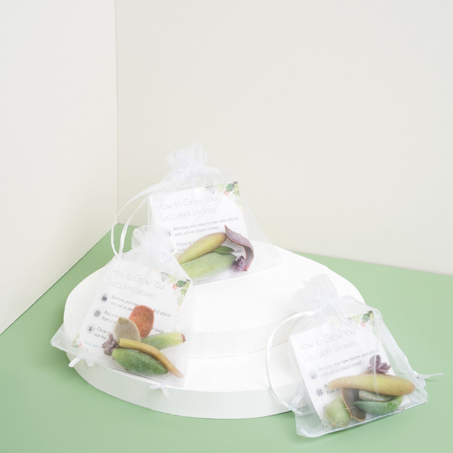 Succulent Leaf Party Favor