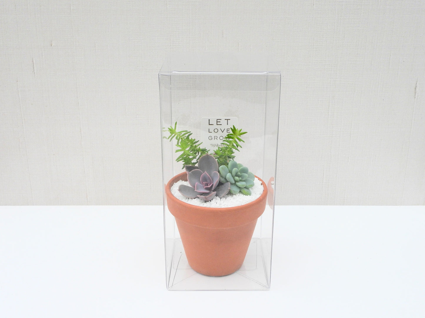 Succulent Favor Box & Care Tag - Clay Arrangement