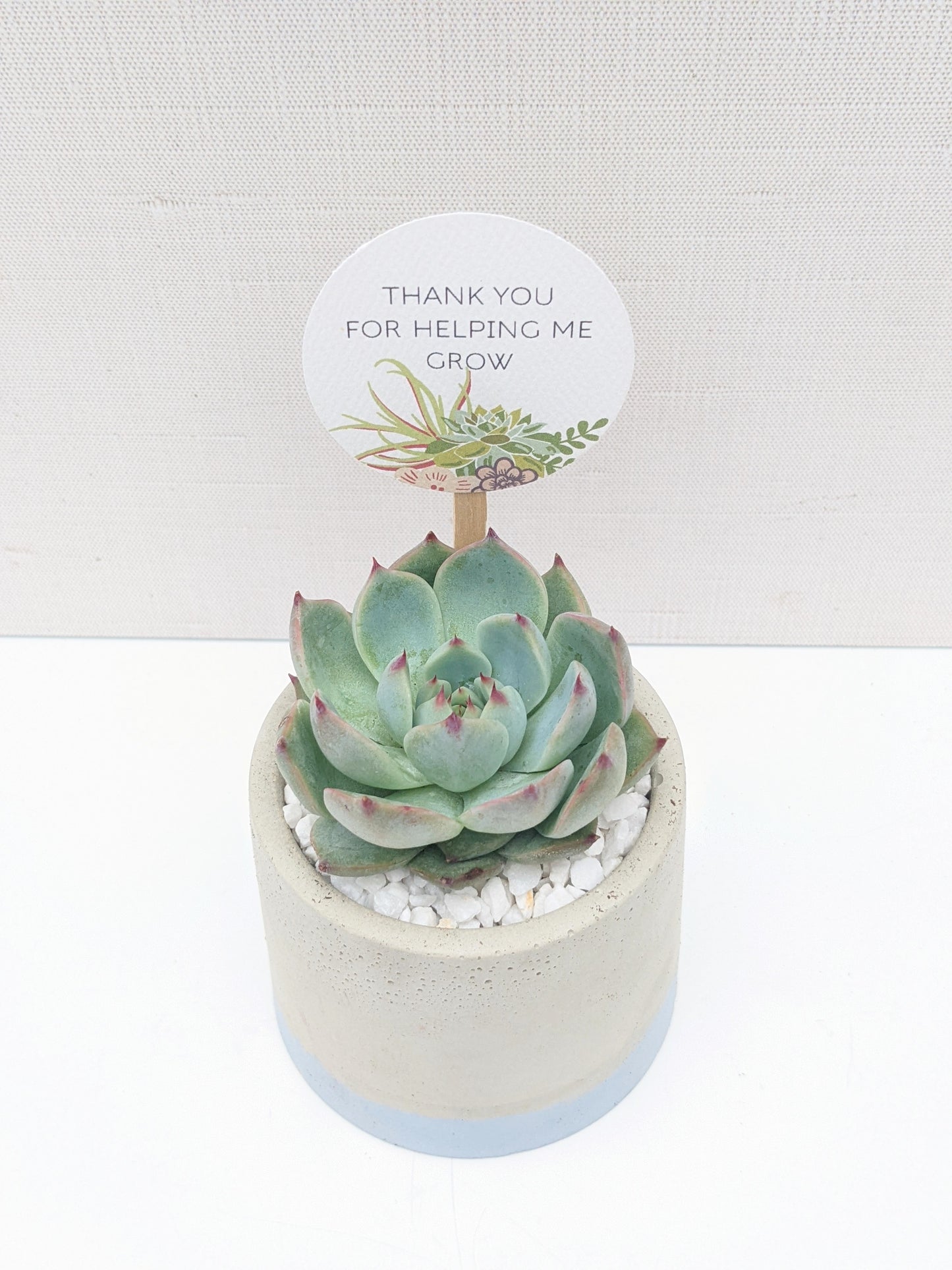 Blue Dipped Concrete Planter