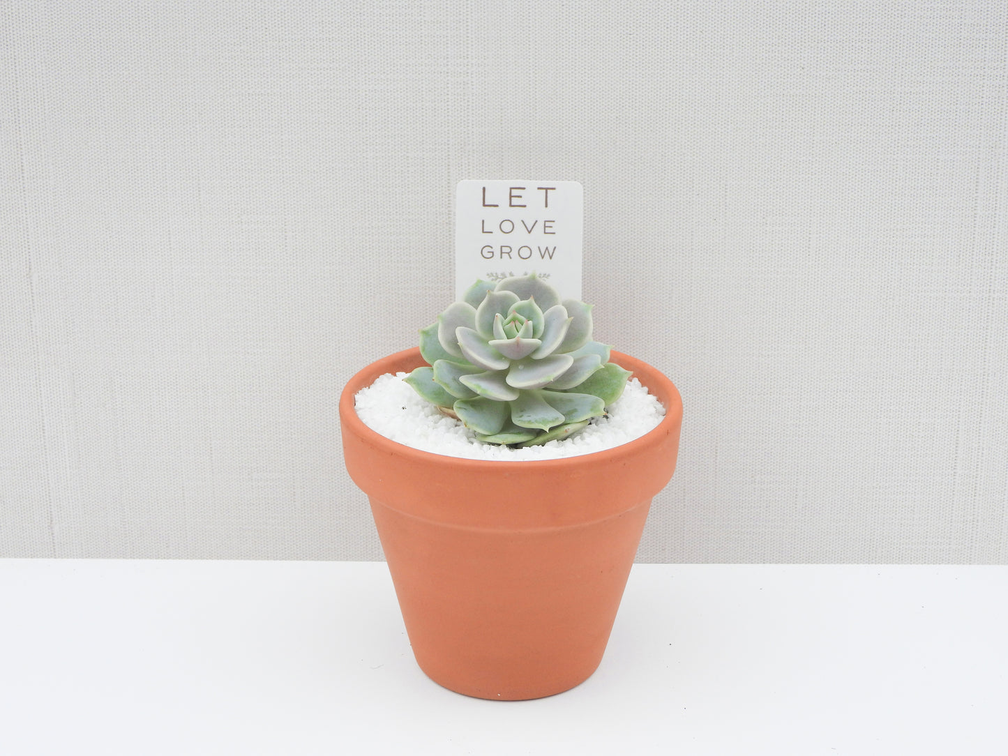 Let Love Grow Tag
