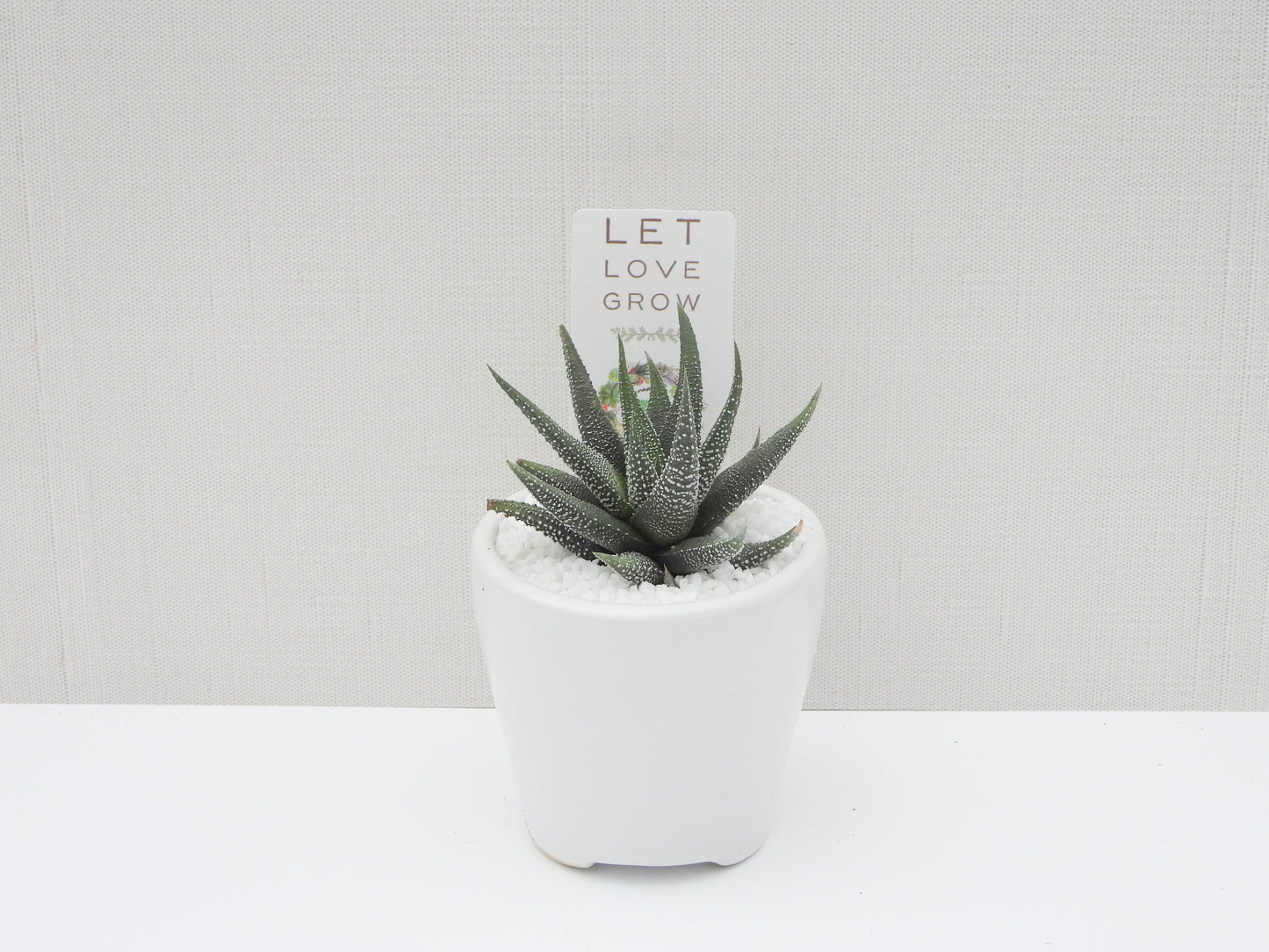 Let Love Grow Tag