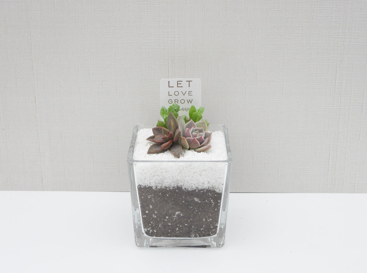 Let Love Grow Tag