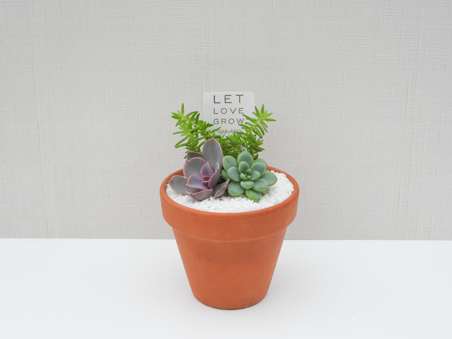 Let Love Grow Tag