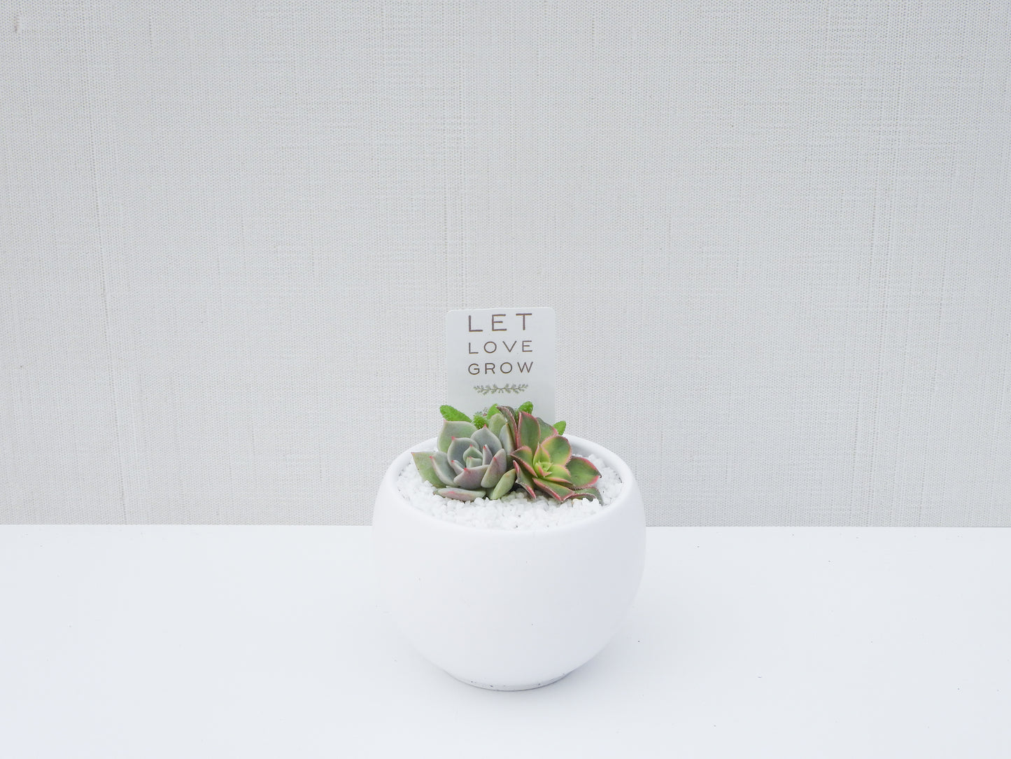 Let Love Grow Tag - White Bowl