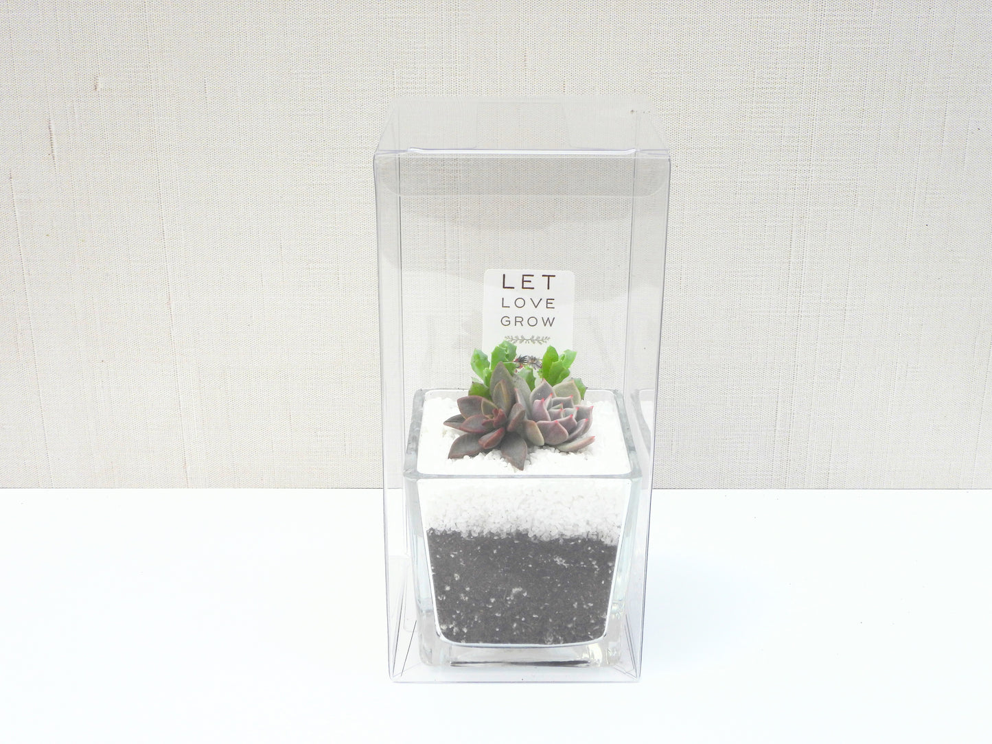 Succulent Favor Box & Care Tag - 3" Glass
