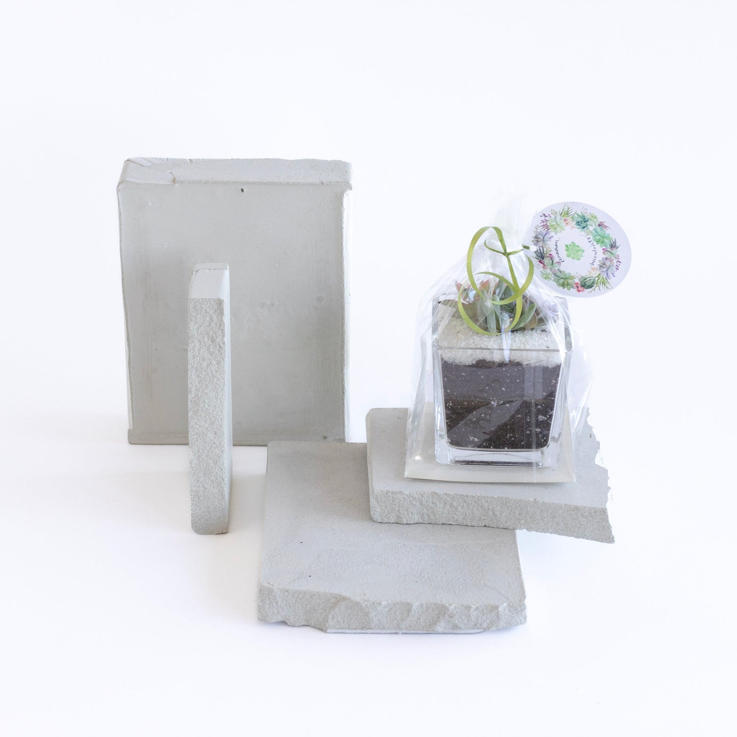 Glass Succulent Arrangement Favor