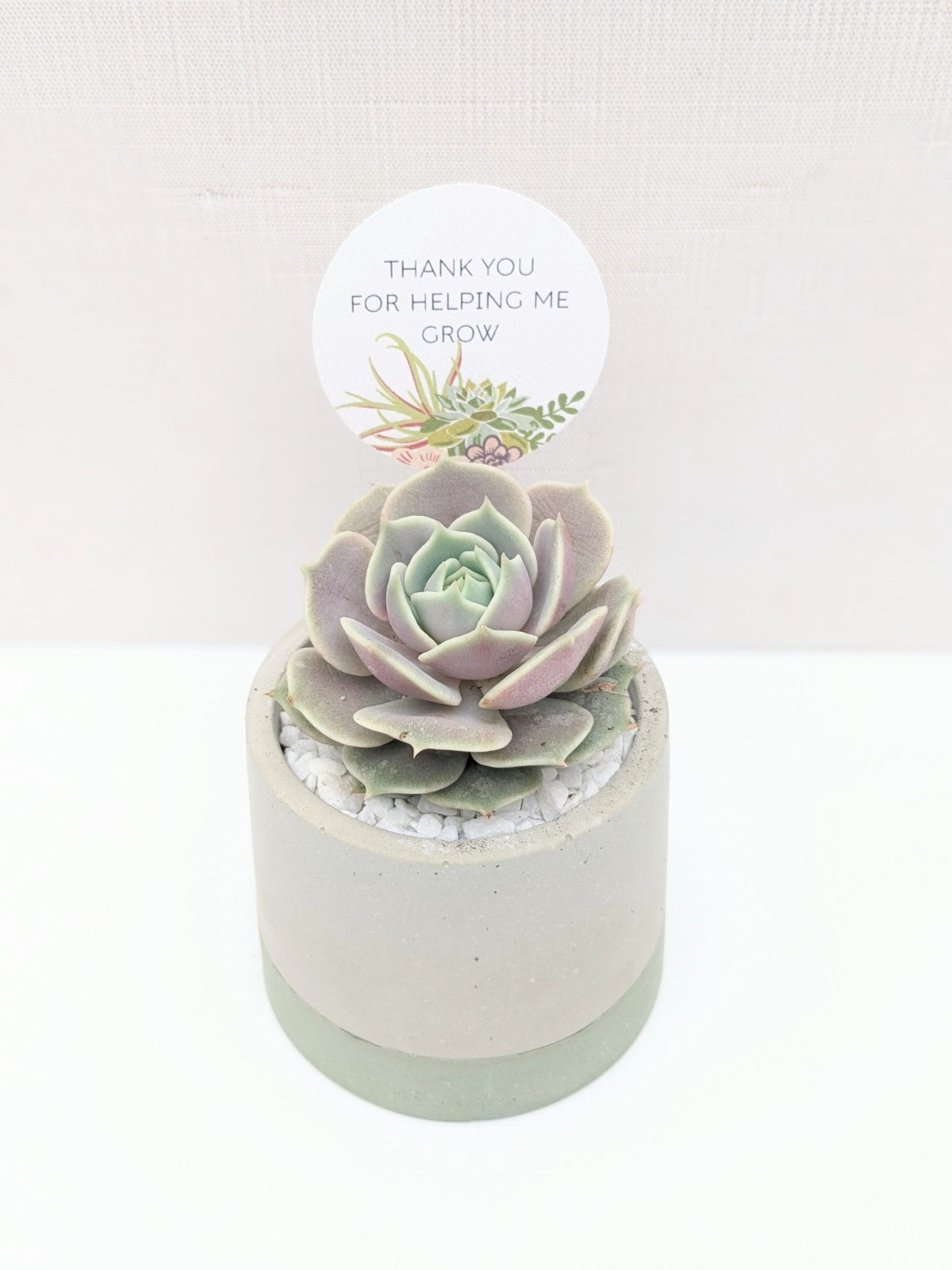 Green Dipped Concrete Planter