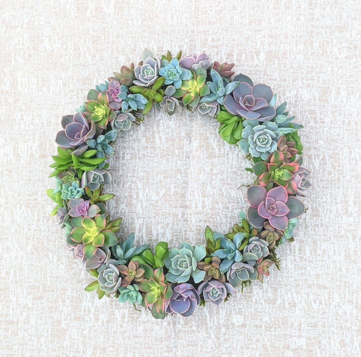 Succulent Wreath