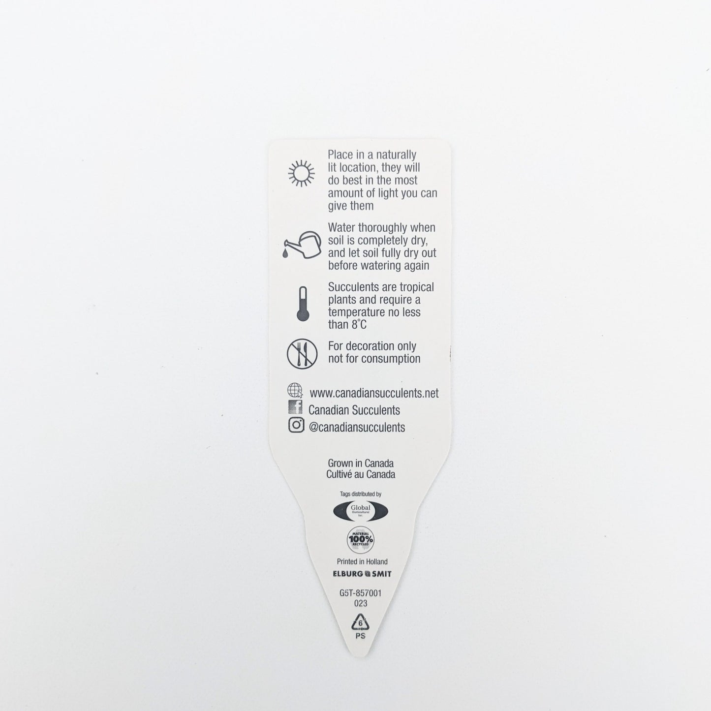 Let Love Grow Tag
