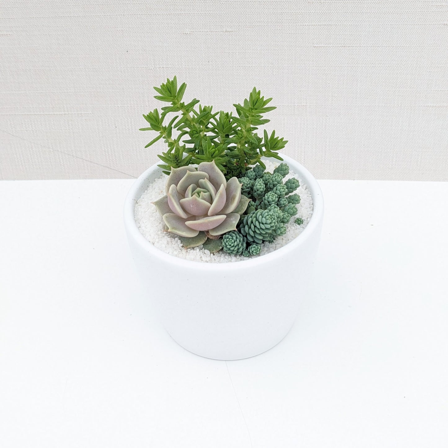 Small Ceramic Arrangement