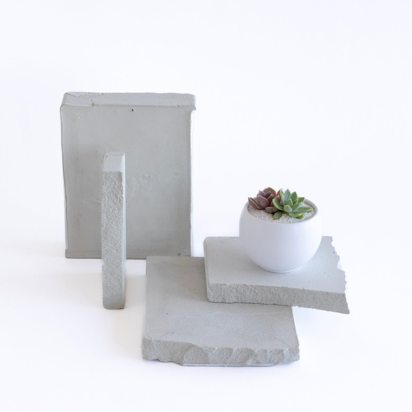 White Succulent Bowl Arrangement Favor