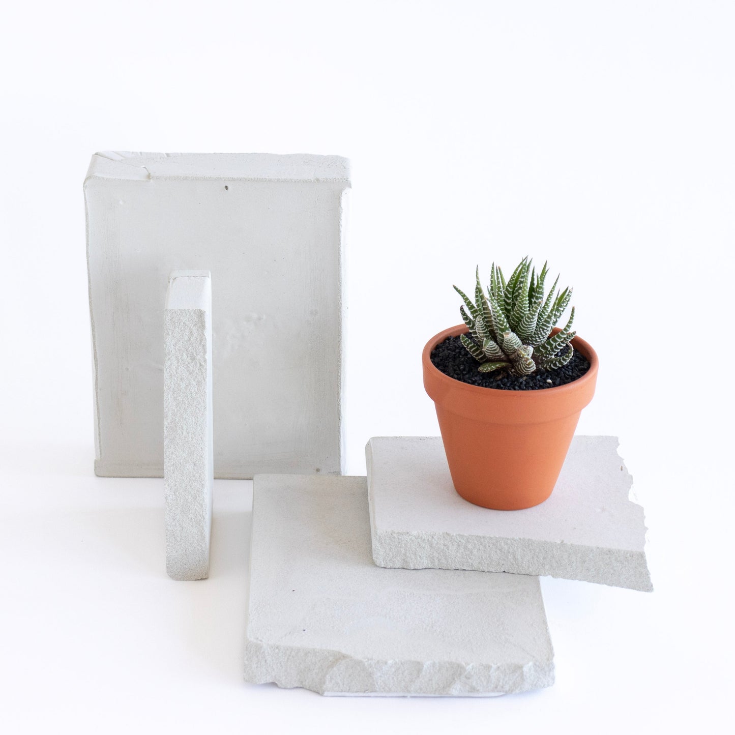 Terracotta Clay Succulent Favor