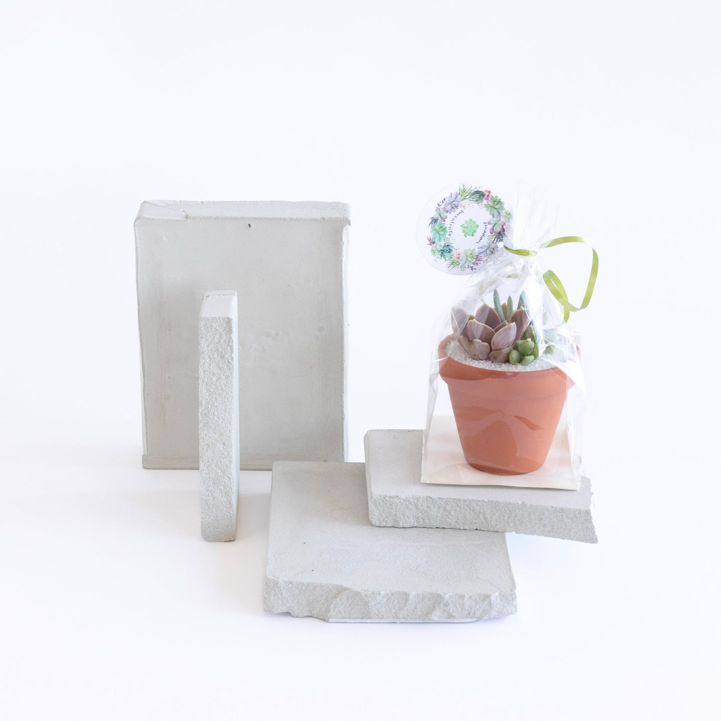 Terracotta Clay Arrangement Favor