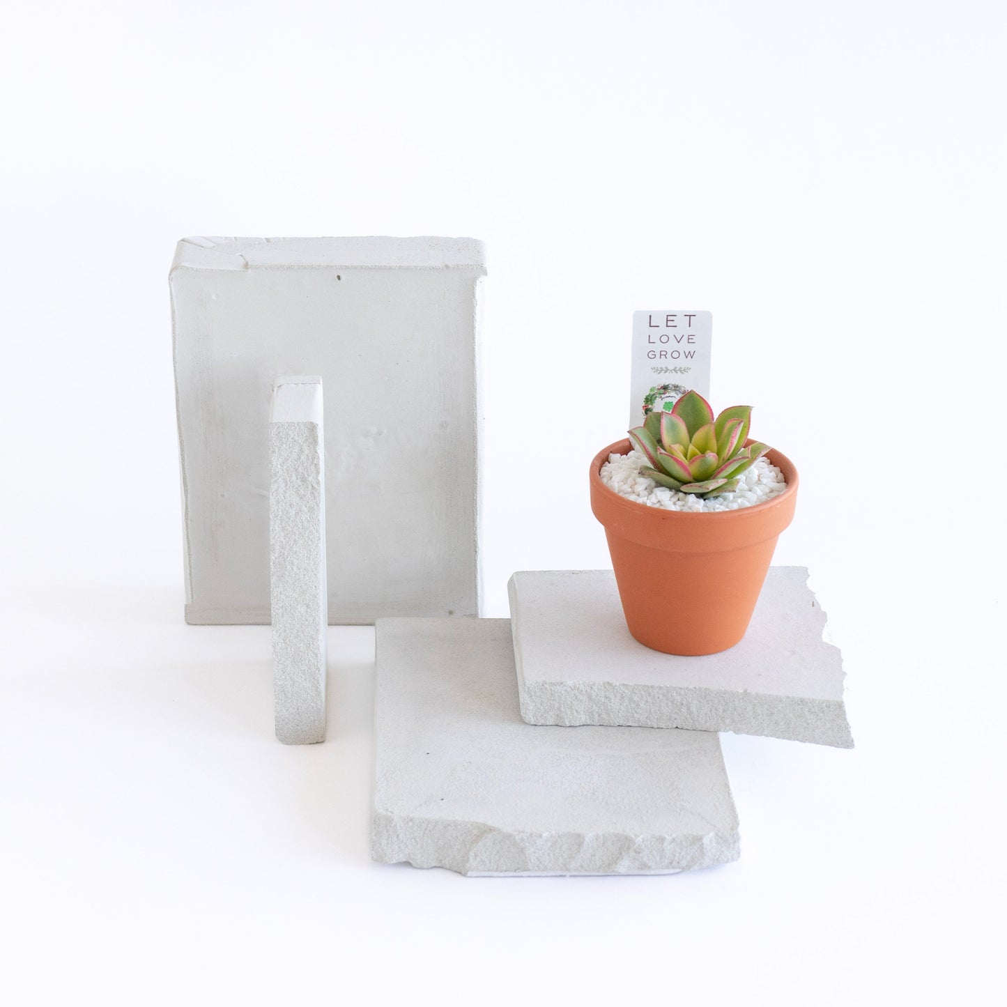 Terracotta Clay Succulent Favor
