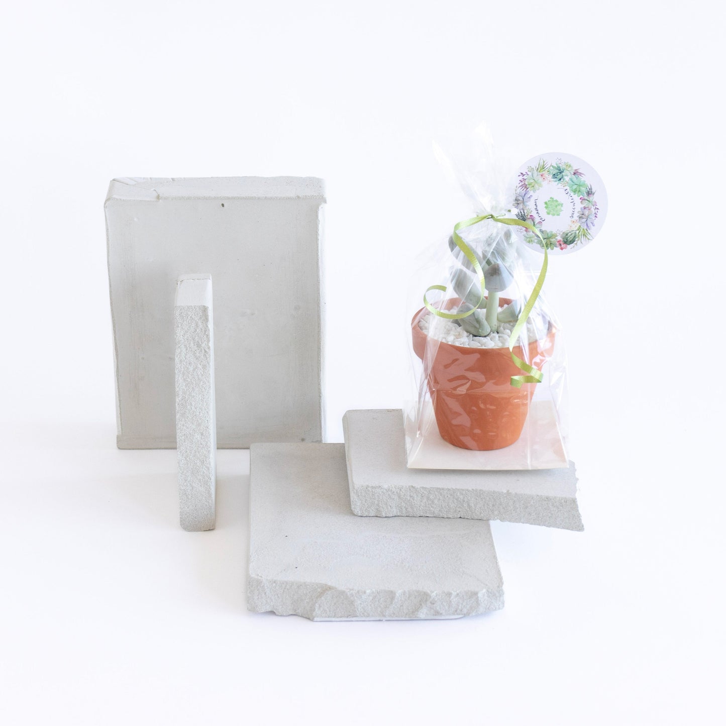 Terracotta Clay Succulent Favor