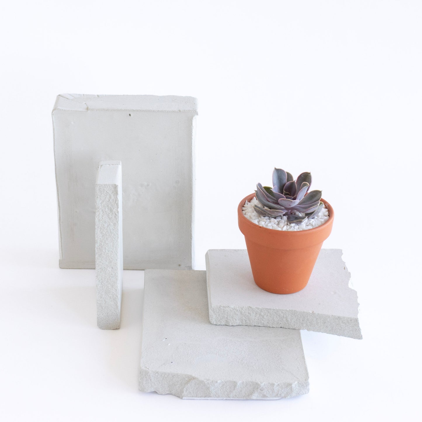 Terracotta Clay Succulent Favor