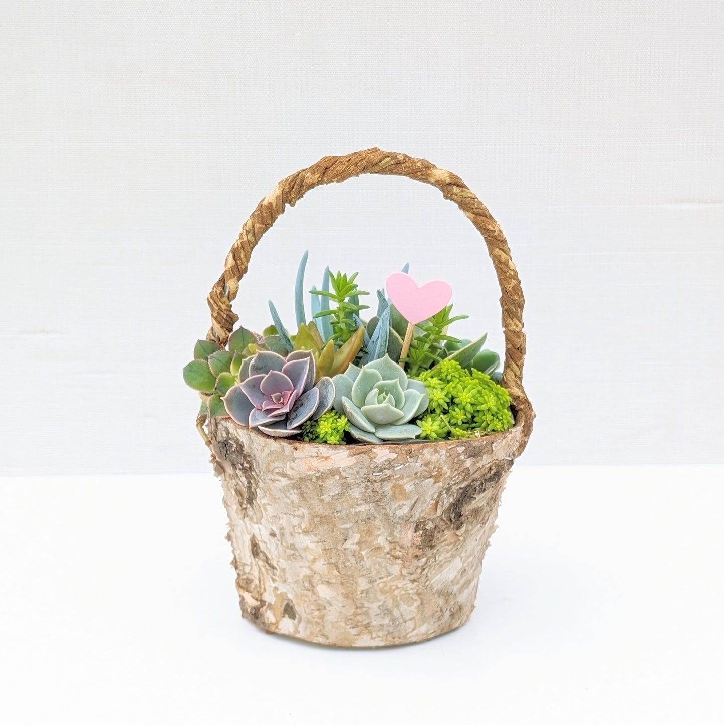 Succulent Basket