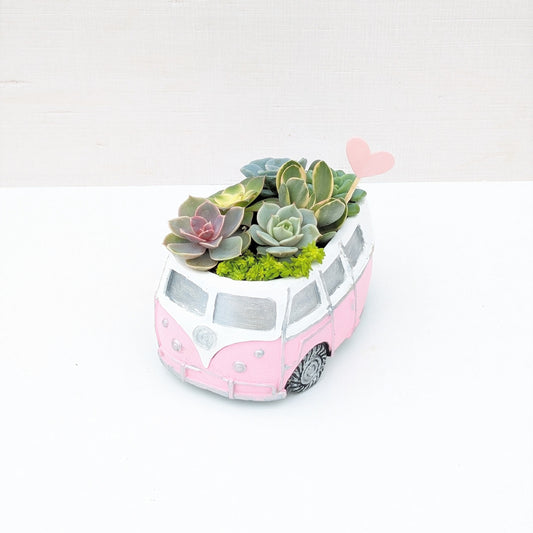 VW Succulent Bus