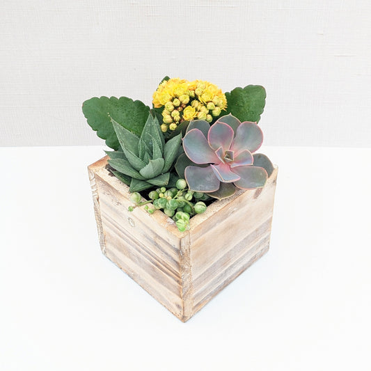 Wooden Planter