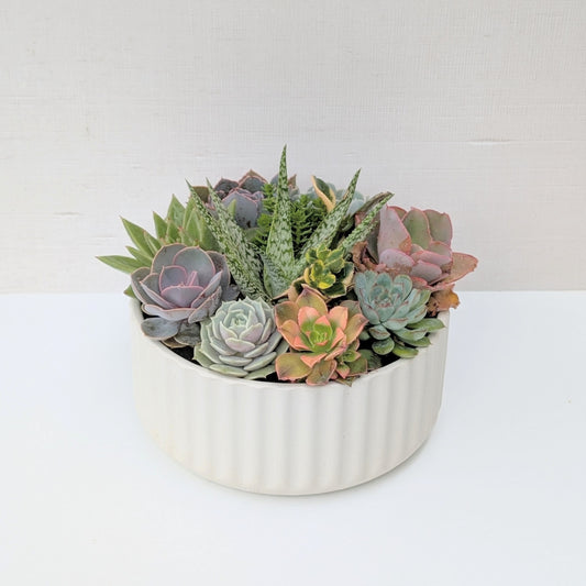 Beam Bowl