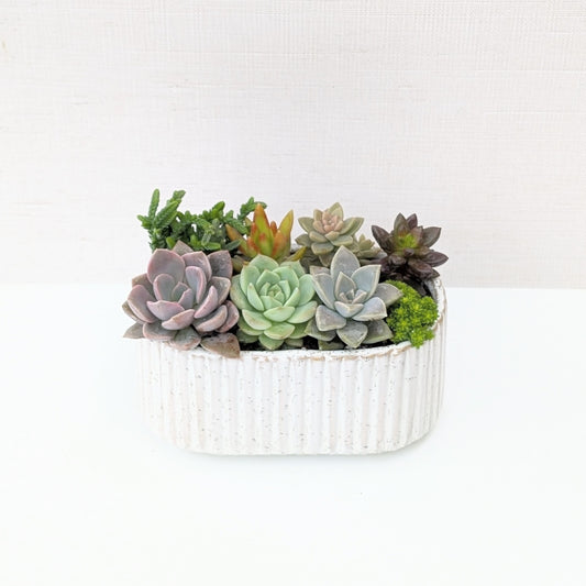 Mini Stable Planter