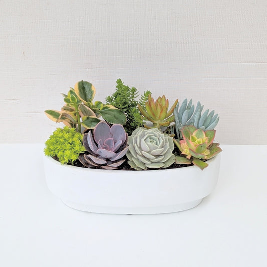 Oval Windowsill Planter