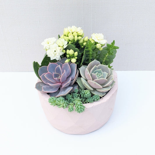 Pink Geometric Succulent Bowl