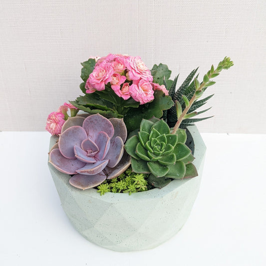 Mint Geometric Succulent Bowl