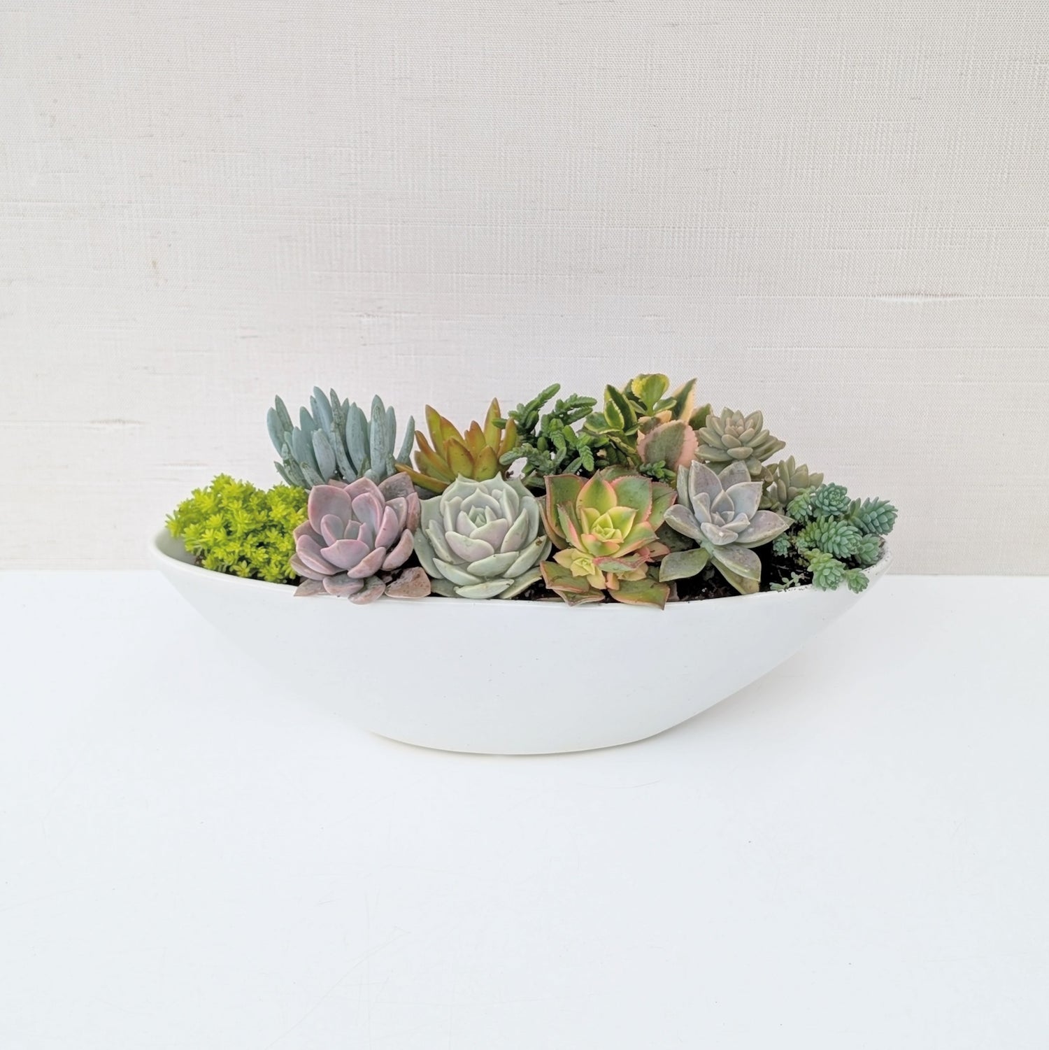 succulent trough Succulent Trough Planter