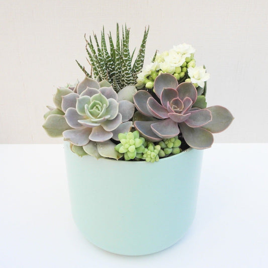 Mint Sky Arrangement