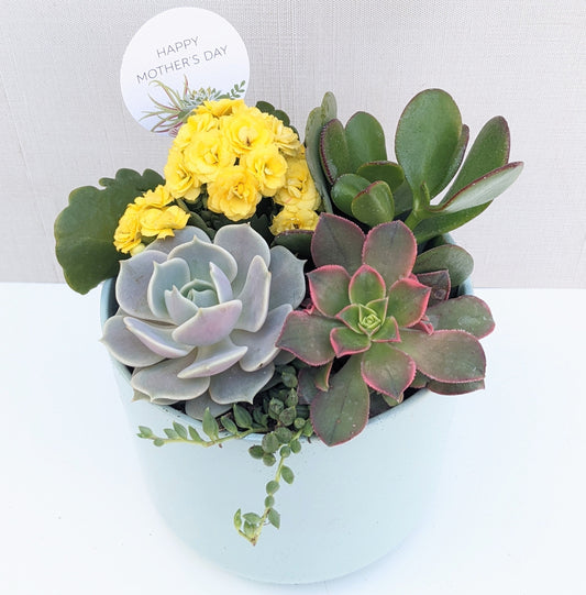 Mint Sky Arrangement
