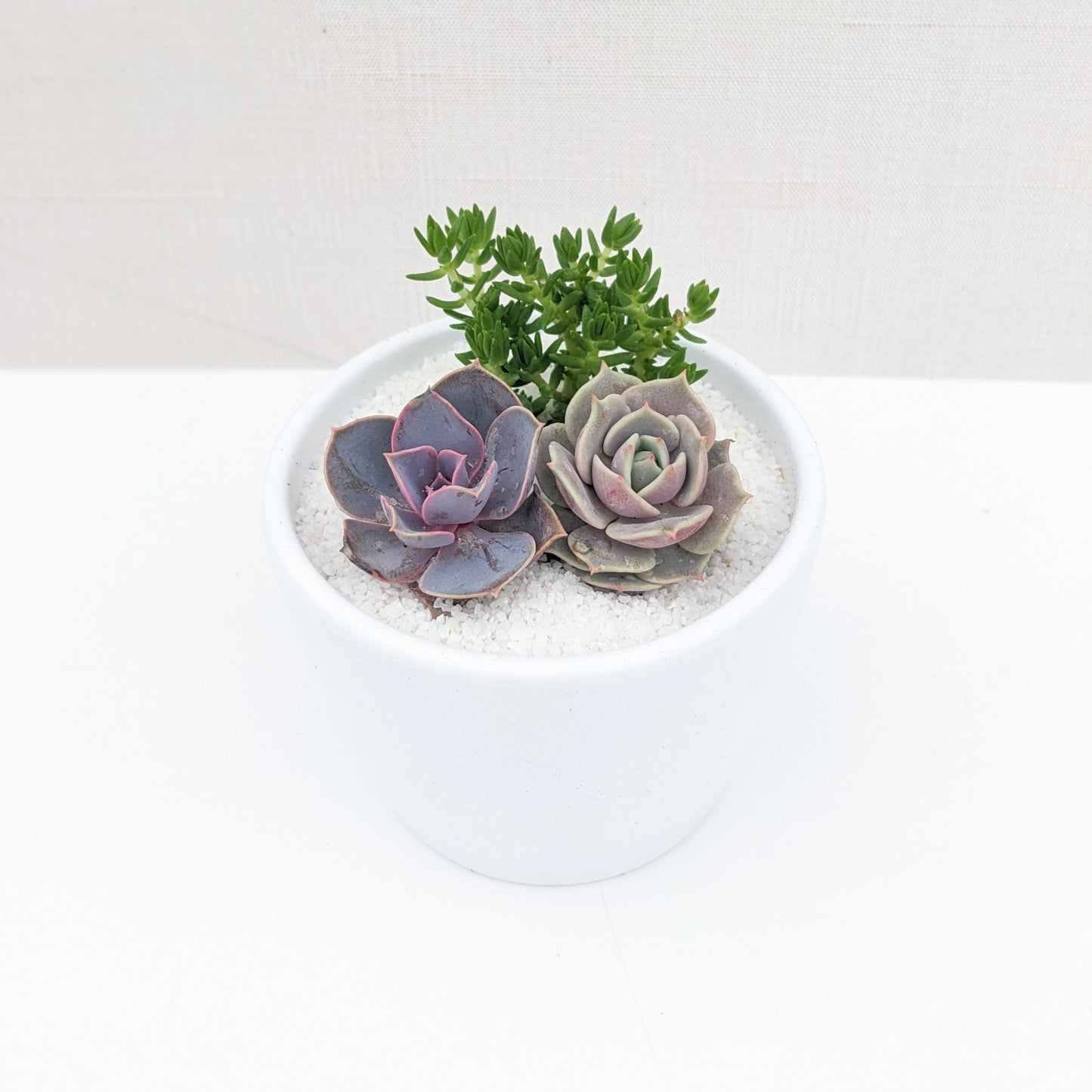 Small Ceramic Arrangement