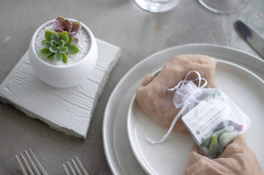 White Succulent Bowl Arrangement Favor